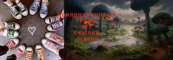 дмт Новокубанск